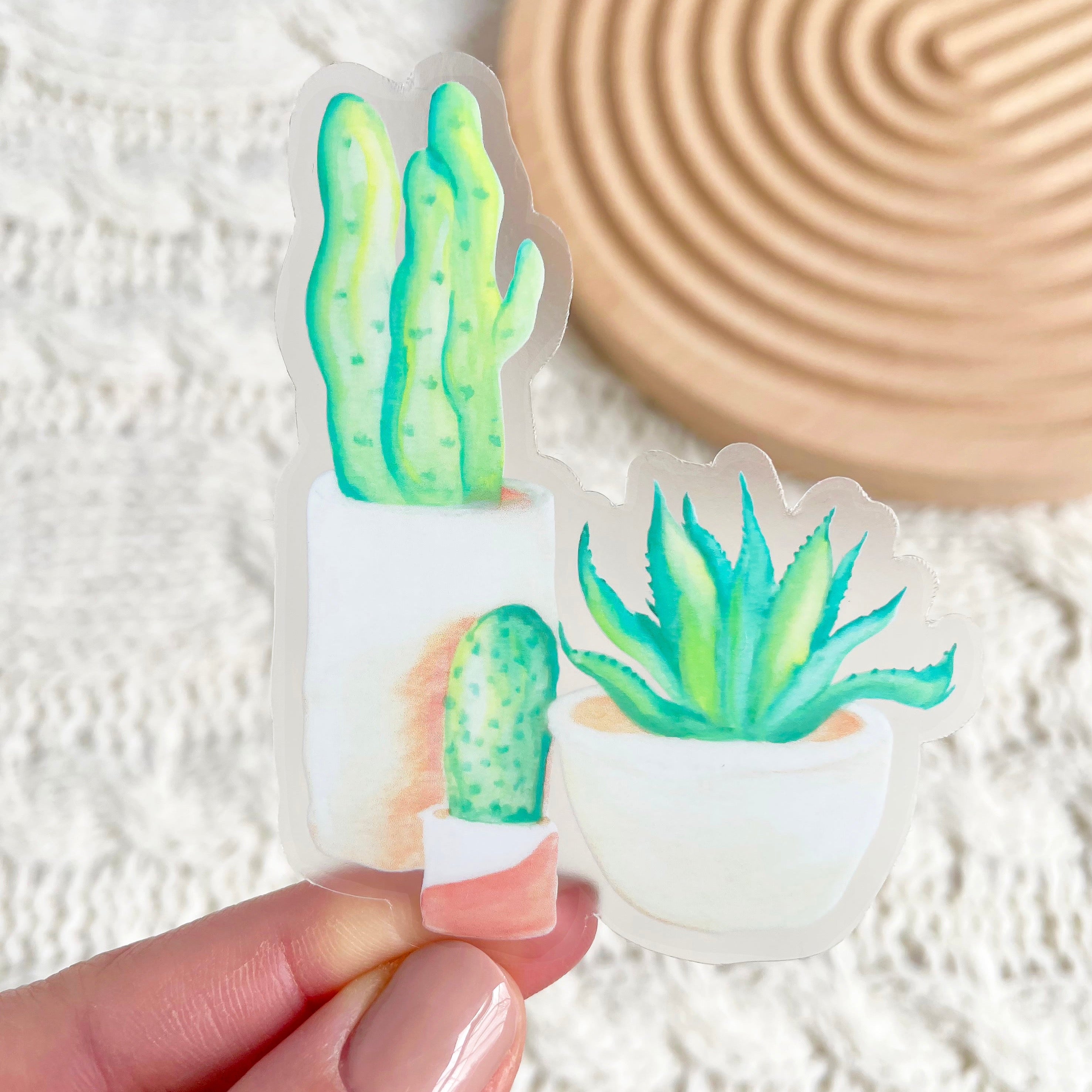 Sticker plante cactus